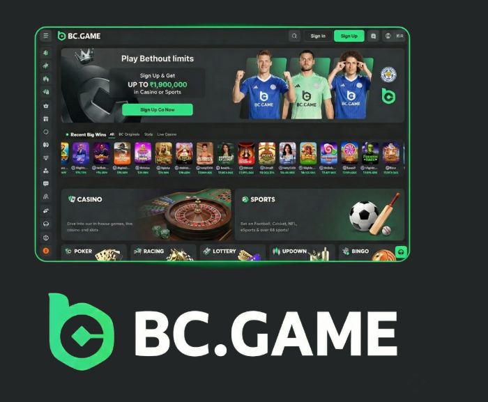 Exploring BC.Game in Kyrgyzstan A New Era of Online Gaming -411321088